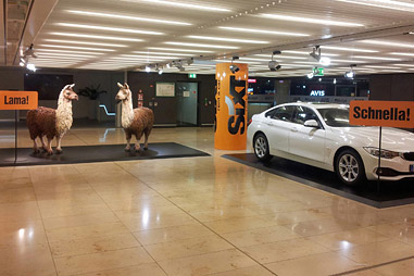 Lama - Sixt-Flughafenwerbung
